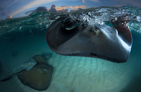 National Geographic Photo Contest 2011