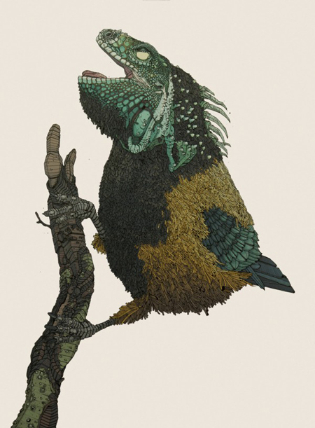 Hybrid Animals by Nicholas Di Genova