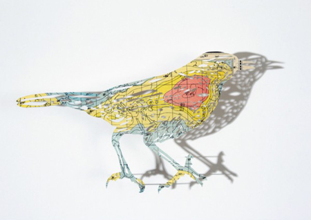 Cartographic Birds and Plants by Claire Brewster