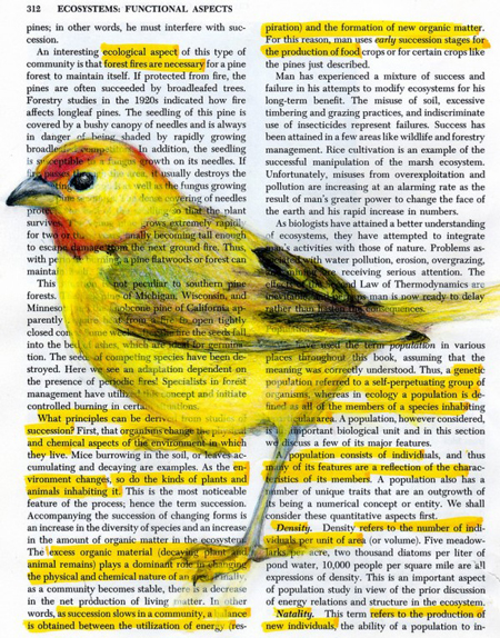 Birds in books