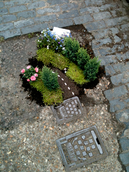 The pothole gardener