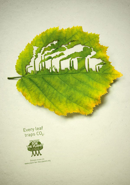 Cut Leaf Illustrations