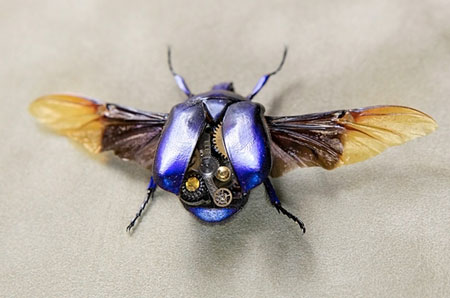 Robotic steampunk insects by Lindsey Bessanon