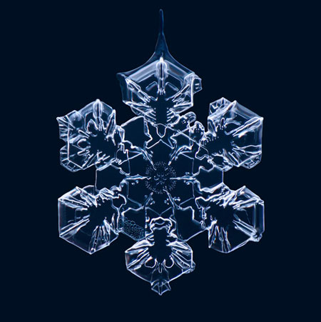 Macro photographs of snowflakes