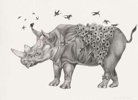 Drawings by Tara Tucker