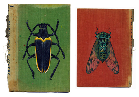 Bugs on book covers