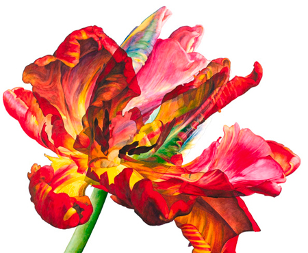 Contemporary botanical painting in Rosie Sanders