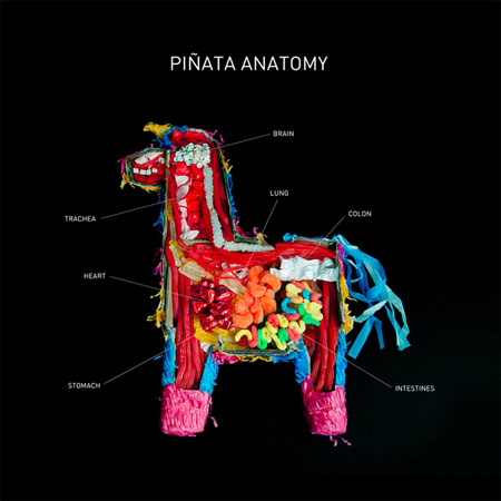 Pinata Anatomy