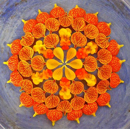 Flower mandalas by Kathy Klein
