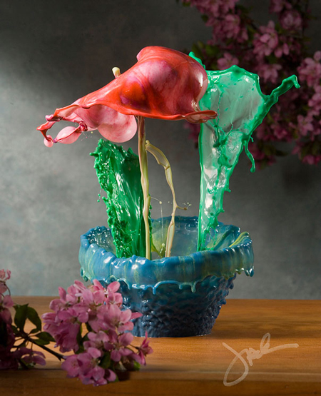 Water splash flowers by Jack Long