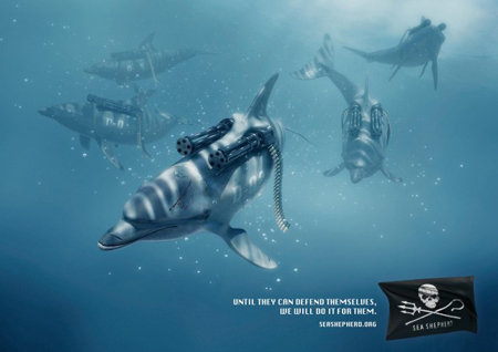 Sea shepherd campaign