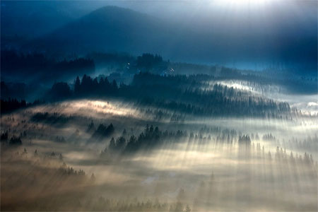Fog landscapes