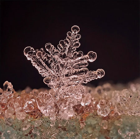 Remarkable macro photographs of ice structures and snowflakes
