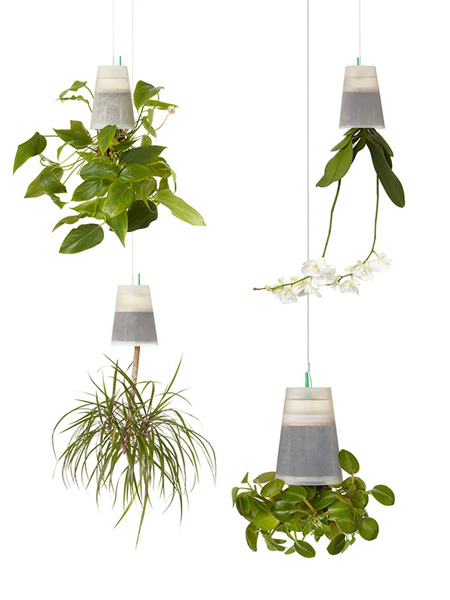 Boskke sky planters