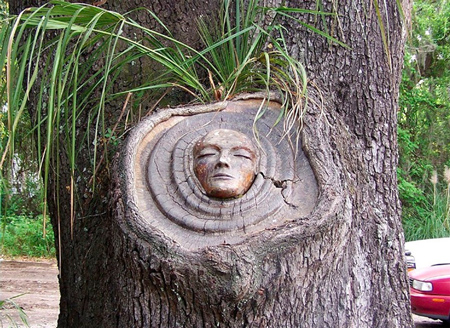 Tree Spirit Carvings by Keith Jennings