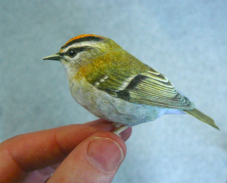 Realistic Birds Made from Paper and Watercolor Paint by Johan Scherft