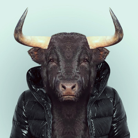 Zoo Portraits by Yago Partal