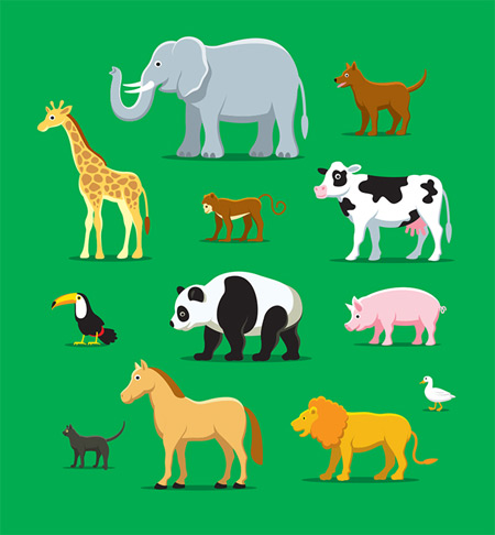 animals