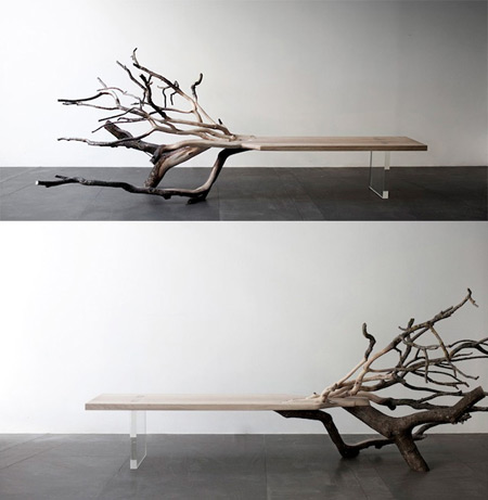 Fallen Tree Bench