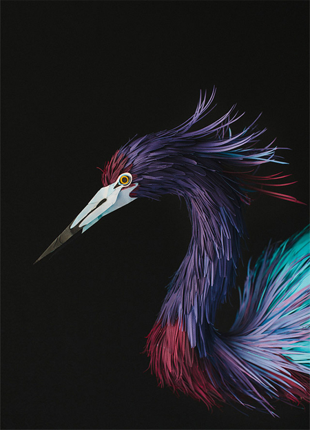 Paper Birds by Diana Beltran Herrera