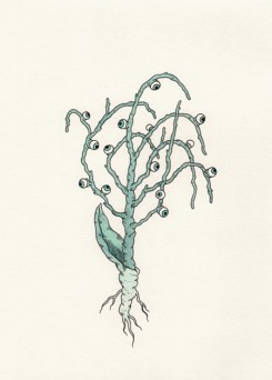 Illustration by Andrew Rae