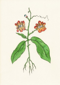 Illustration by Andrew Rae