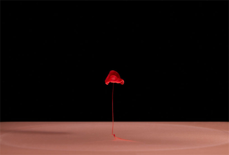 acqueous-21