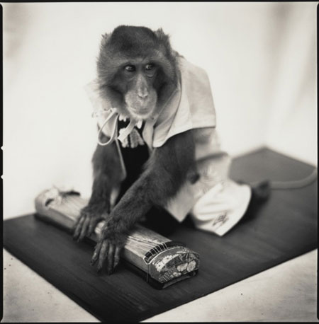 Monkey-Series-14-640x652