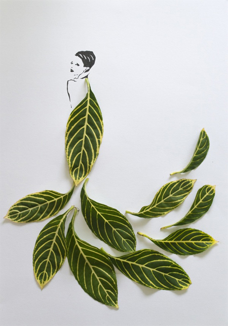 Fashion in leaves