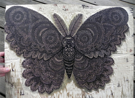 Moth: new woodcut print from Tugboat Printshop