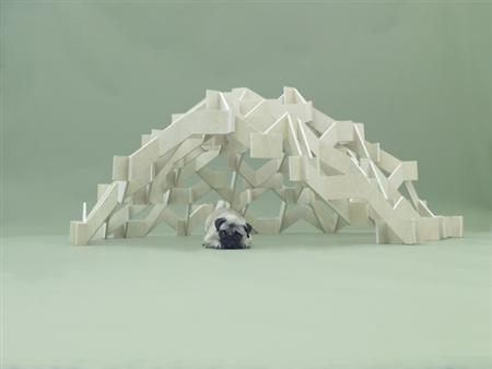 architecture-for-dogs-1