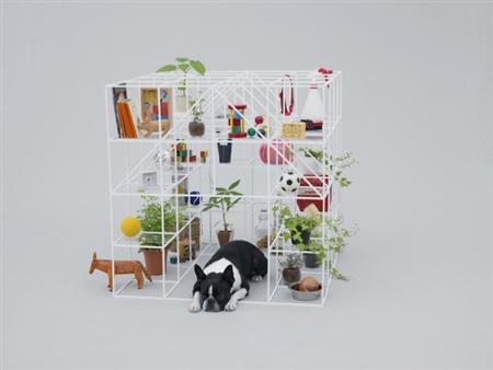 architecture-for-dogs-2