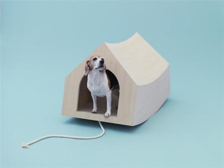 architecture-for-dogs-3