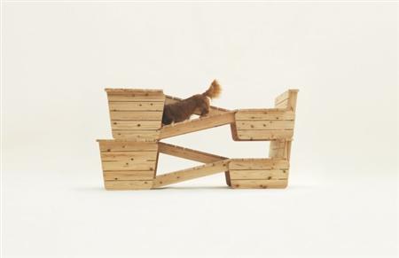 architecture-for-dogs