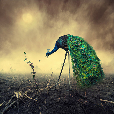 Surreal photo manipulations by Caras Ionut