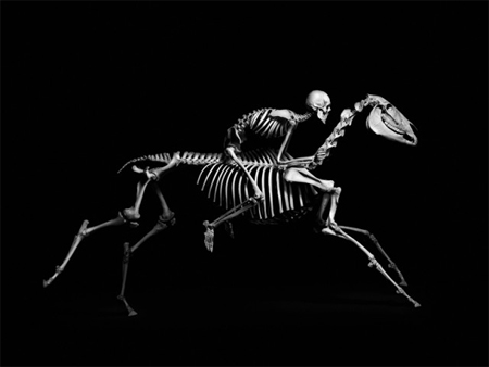 Exploration of skeletons by Patrick Gries