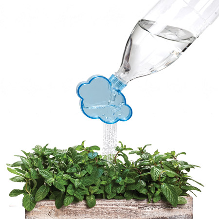 Rainmaker: the plant watering cloud