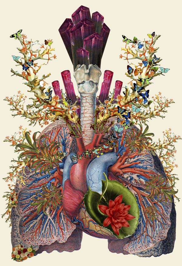 Travis Bedel Creates Stunning Anatomical Collages