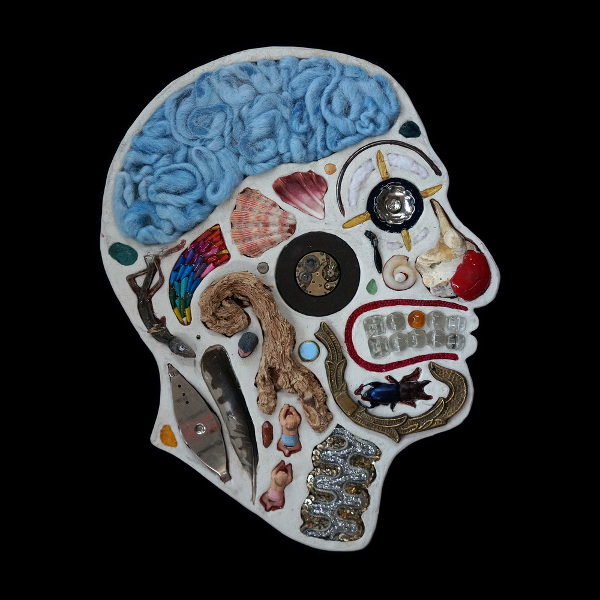 Medical diagram portraits created from found objects