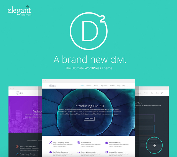 Giveaway: ElegantThemes offers 3 developer accounts to Designer Daily readers