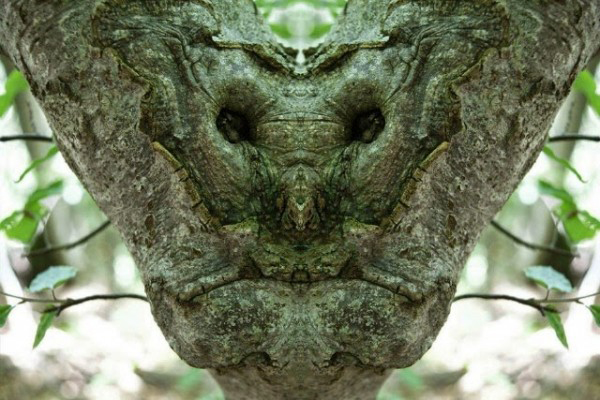 5-Elido-Turco-600x400