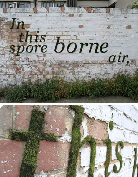 Moss Lettering by Anna Garforth