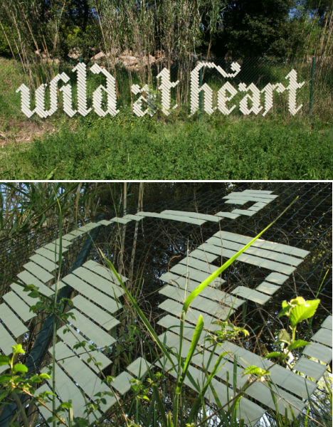 Wild at Heart Masking Tape Typography