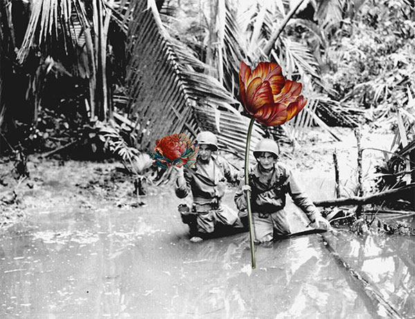 guns-flowers-vintage-photos-collage-art-blick-41