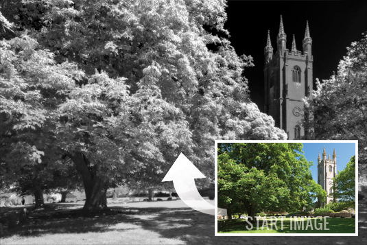 Recreate infrared photography in Photoshop