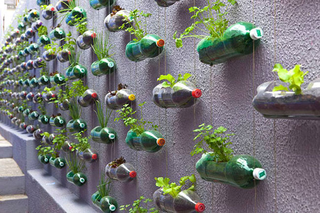 Vertical Garden