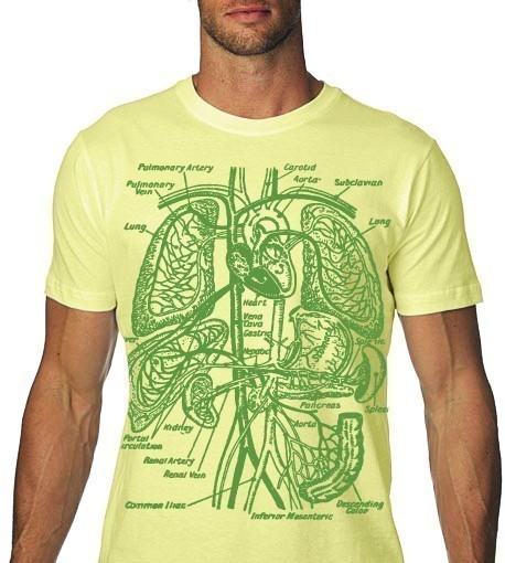 Anatomy Tee