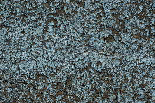 Asphalt-Texture