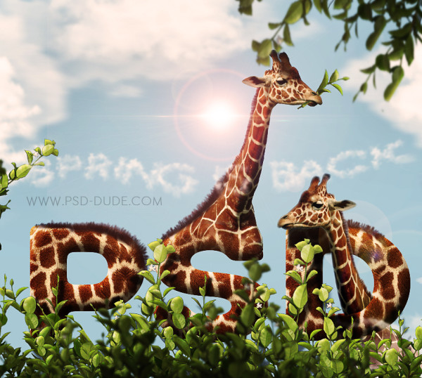 Create a Giraffe Leather and Fur Typography in Photoshop