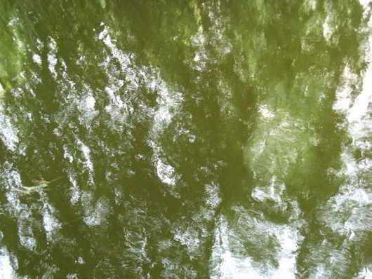 Green-Water-Texture